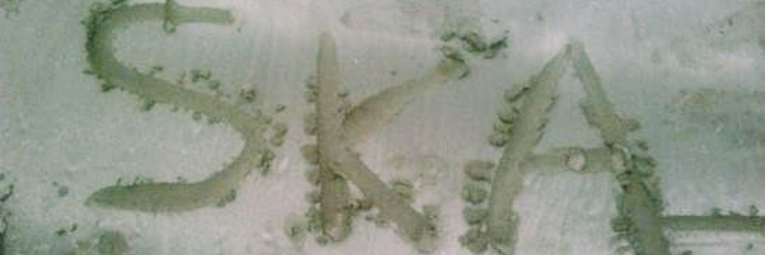 syifaka's profile banner image