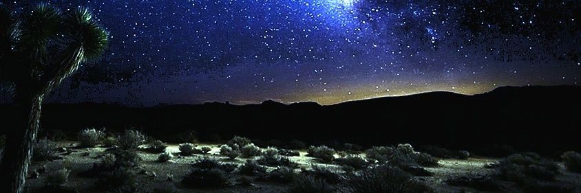 Conner Williams banner