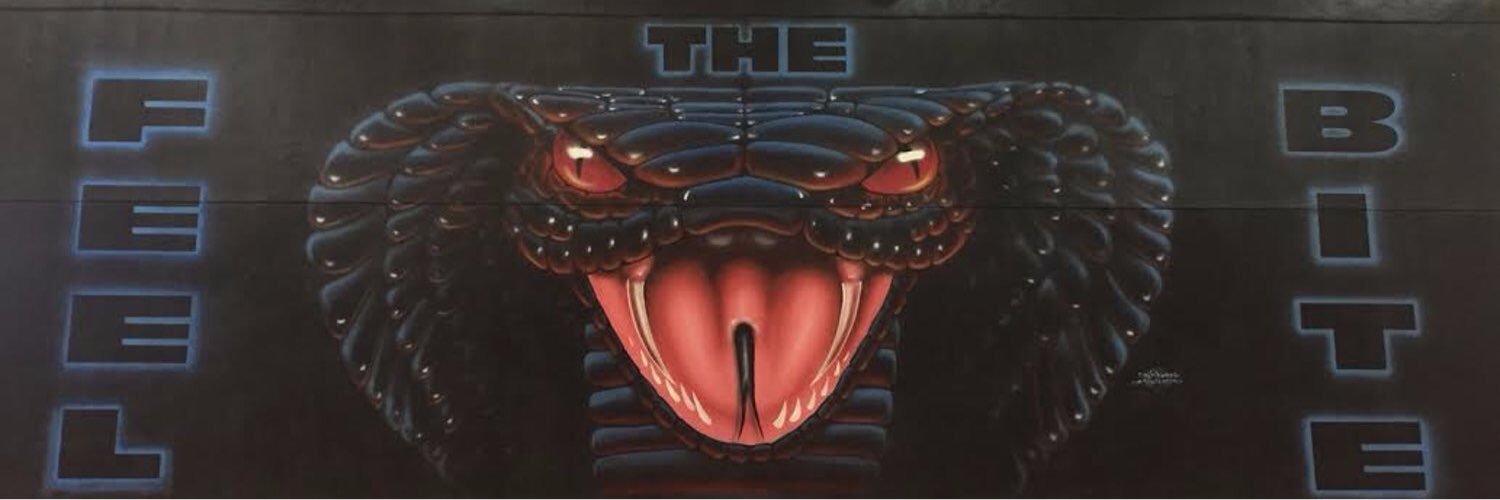 PV Boys Basketball banner