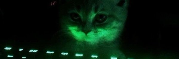 RyanMS77 Profile Banner