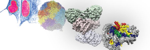 mdrwilson Profile Banner