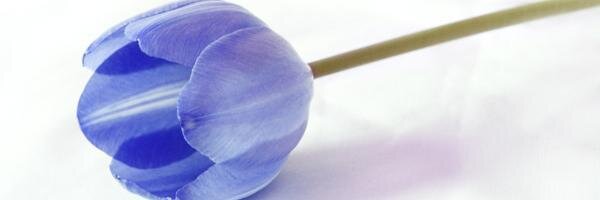 rizkaputria's profile banner image