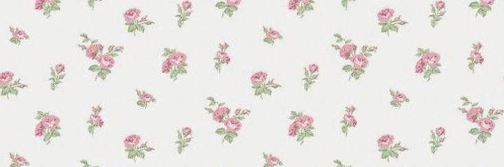 inalcar's profile banner image