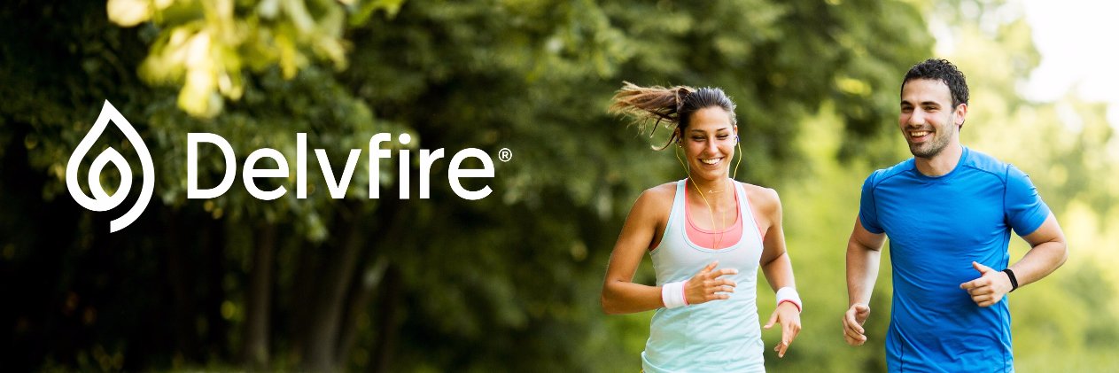 Delvfire banner