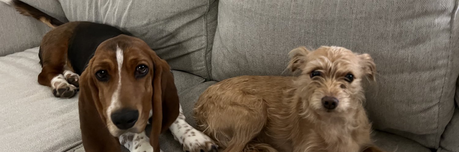 samrobinsonn4's profile banner image