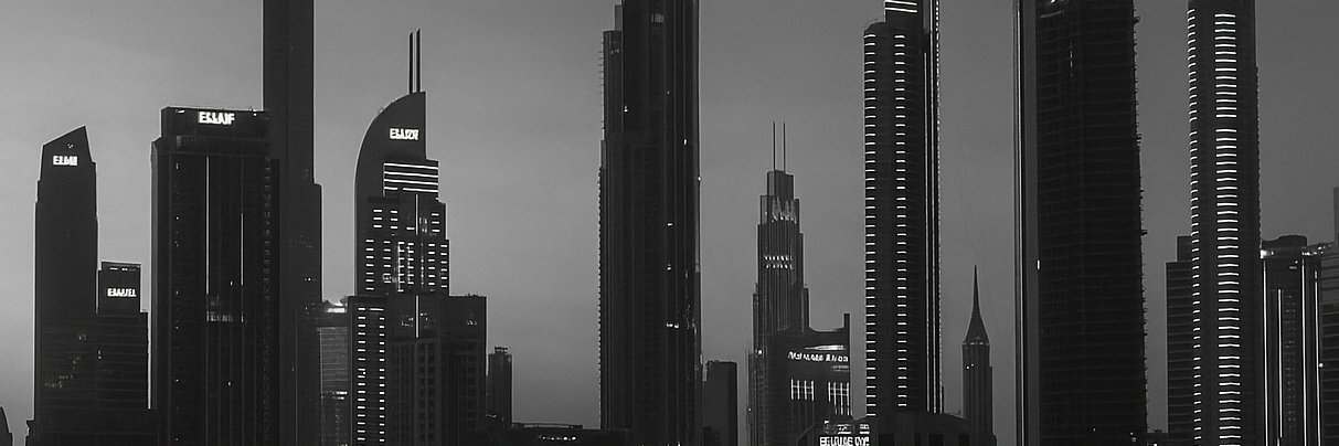 Timo banner