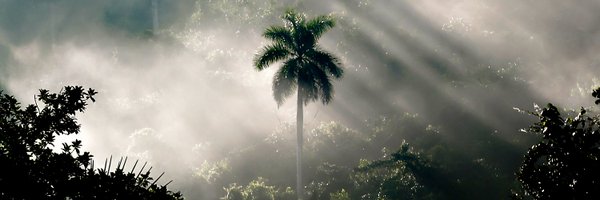 aperezriverol Profile Banner