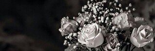 2Eyad's profile banner image