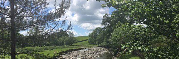 newsmary Profile Banner