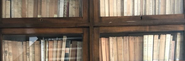 Elifcello Profile Banner