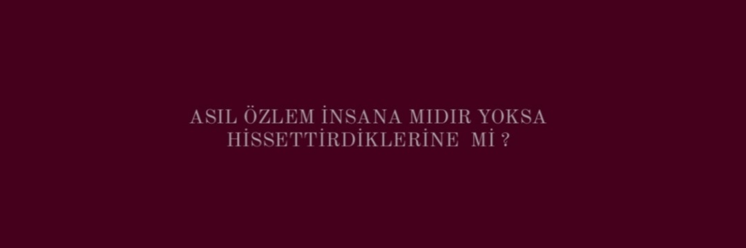 israfil Savaş banner