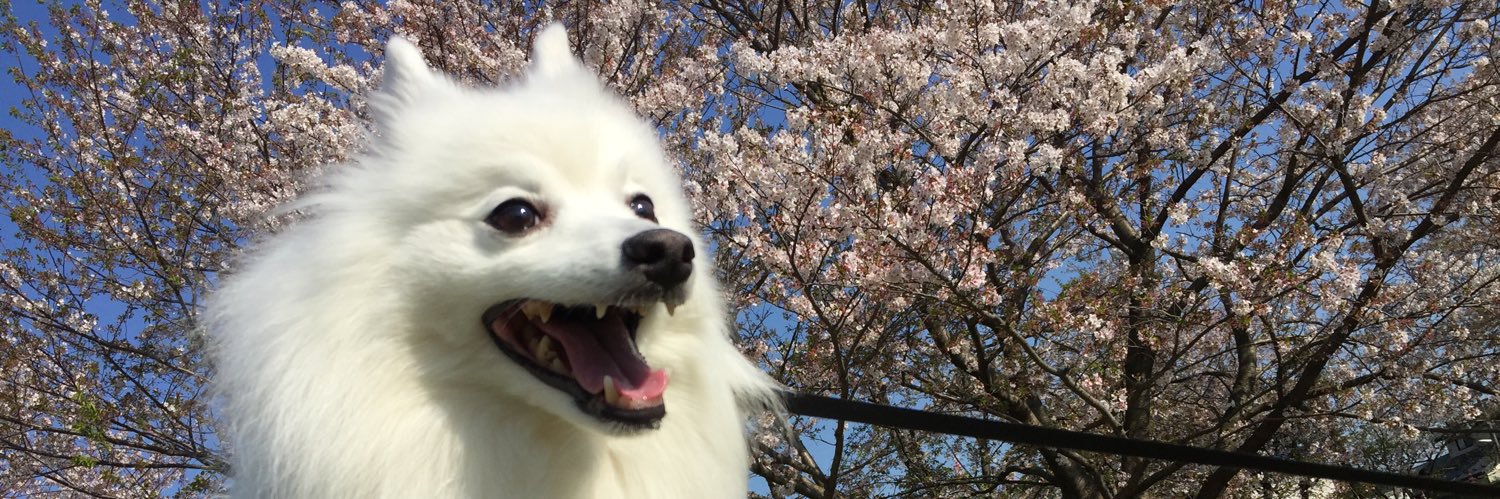 nanko2's profile banner image