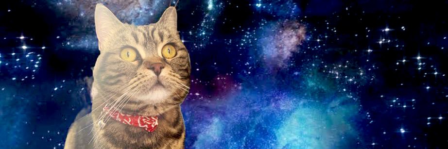 an_hmt's profile banner image