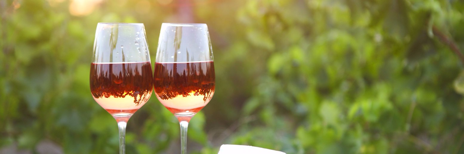 Experience Rose banner