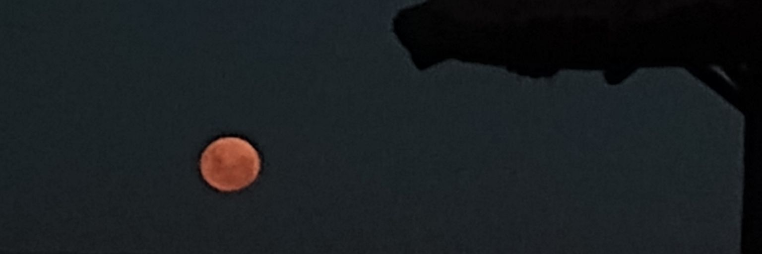 zairadz's profile banner image