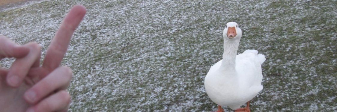 asuducks's profile banner image
