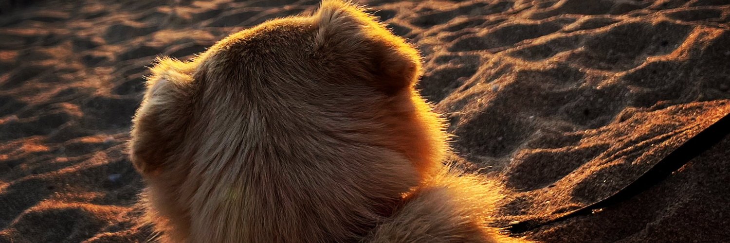 giwrgosd's profile banner image