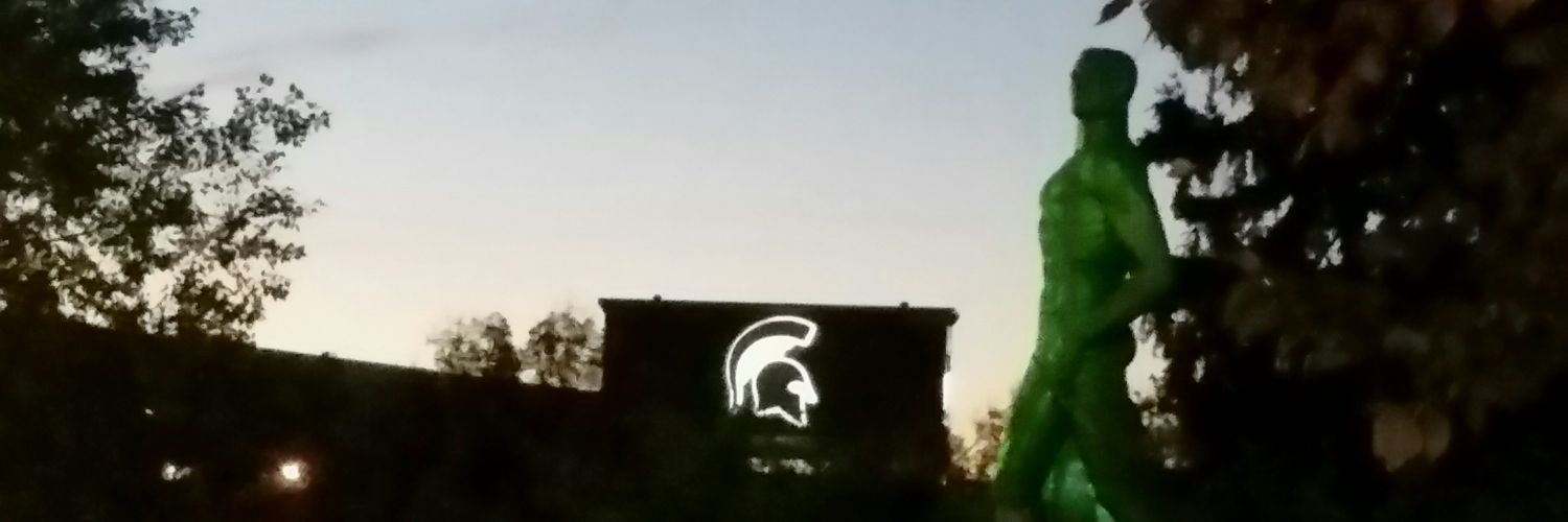 D_RayMSU's profile banner image