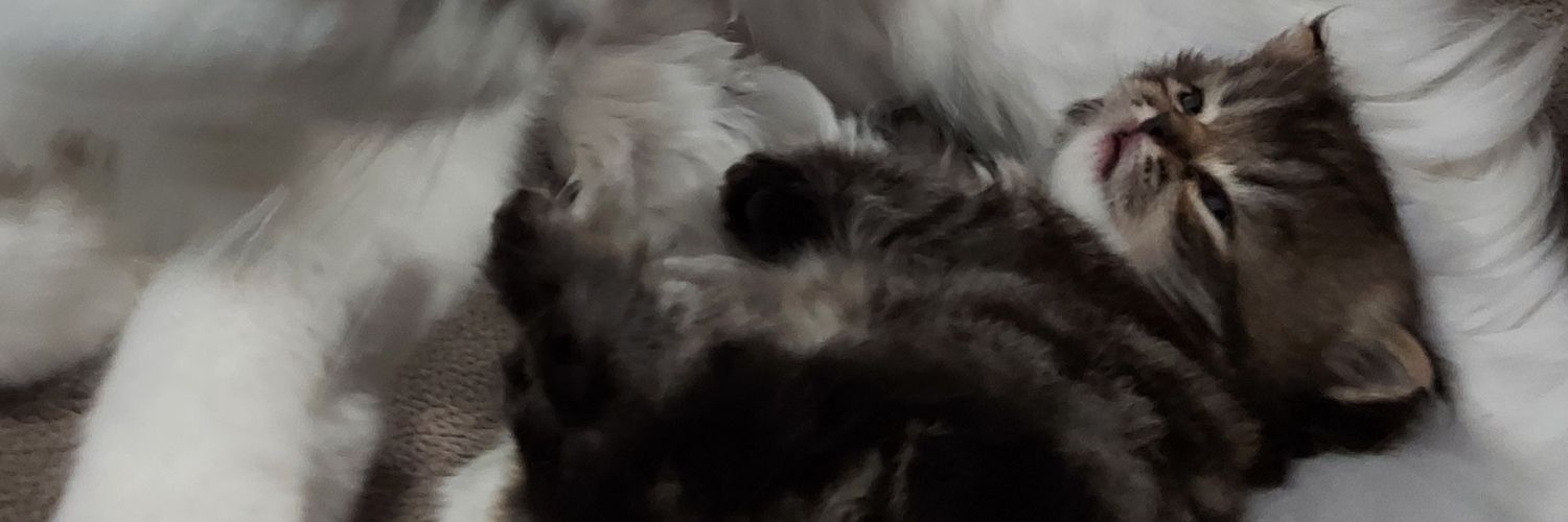 juliodps's profile banner image
