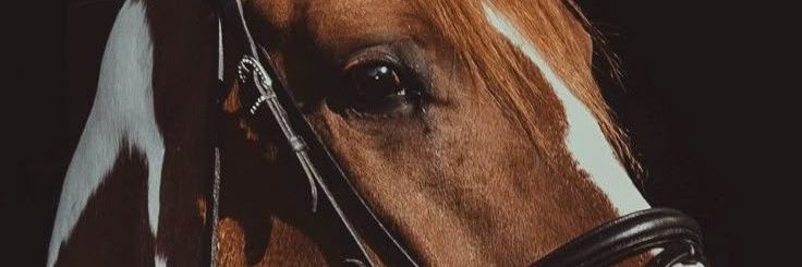 KSA_EGP1's profile banner image
