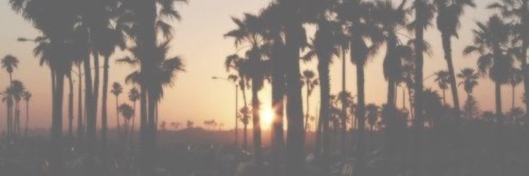TBrods9's profile banner image