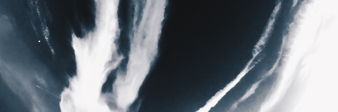 milaliams's profile banner image