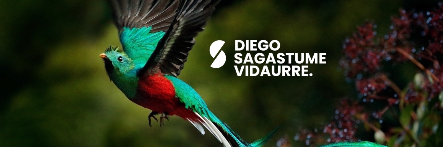 Diego Sagastume Vidaurre's banner