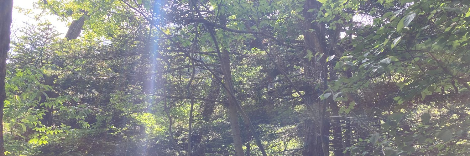 ichishick's profile banner image