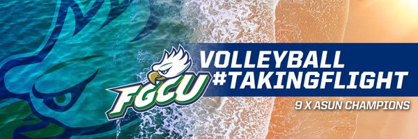 FGCU_VB Profile Banner