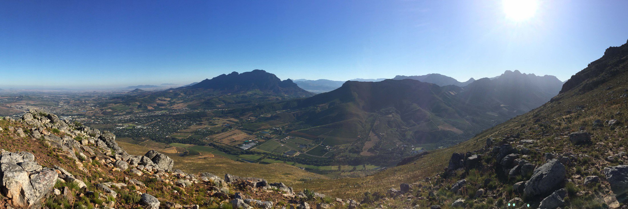 Wessel van den Berg banner