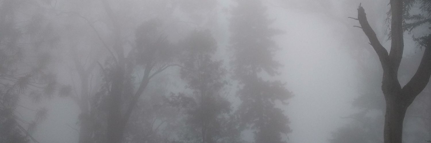 sonymathew_'s profile banner image