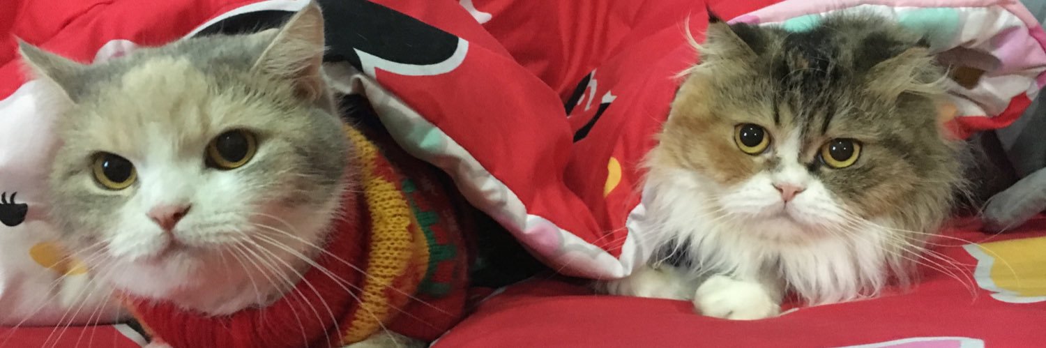 hm_chen's profile banner image