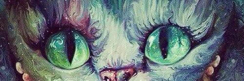 Reiinaldi's profile banner image