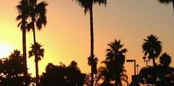Justiinnee__'s profile banner image