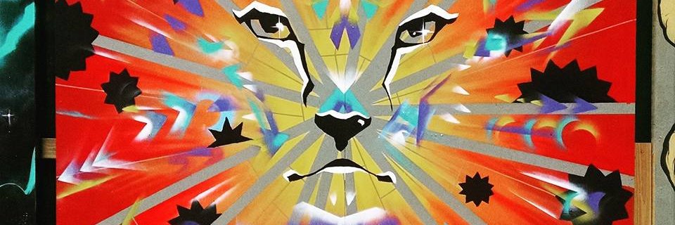 Jane Fox 🟥 banner