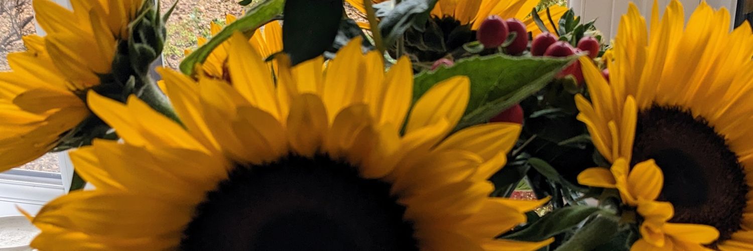 RachelAnneYoung's profile banner image