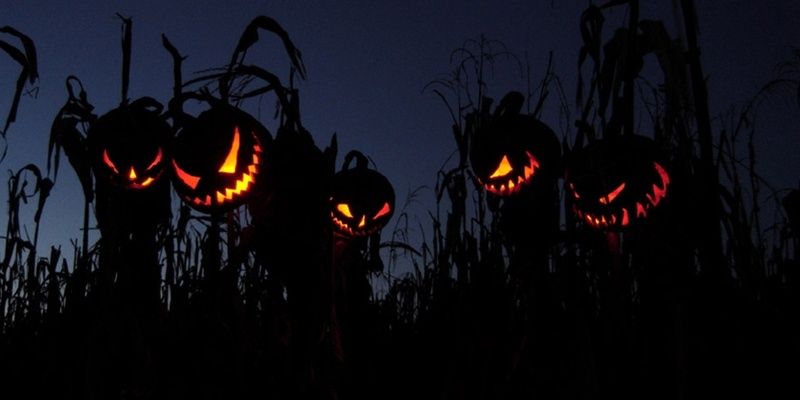 GTHORG34's profile banner image