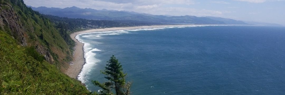 MckenzieBercier's profile banner image
