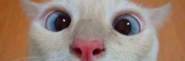 hellenccrystyna's profile banner image