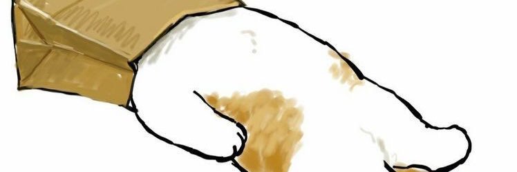 nimrais7's profile banner image