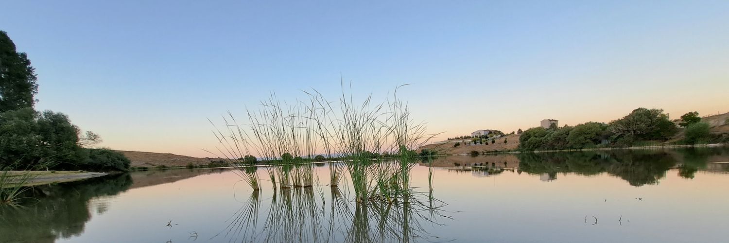 Sariyahsi68's profile banner image