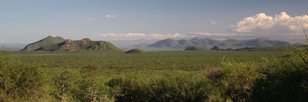 Cheli & Peacock Safaris banner