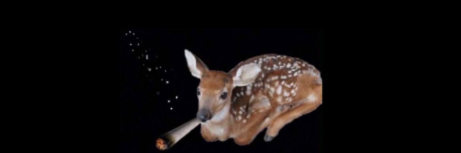 stoner femme banner