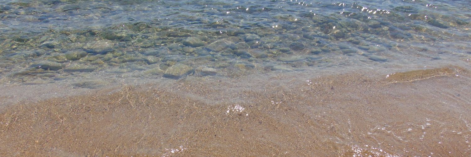 Schieeena's profile banner image