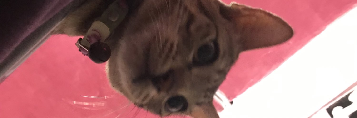 kyxue's profile banner image