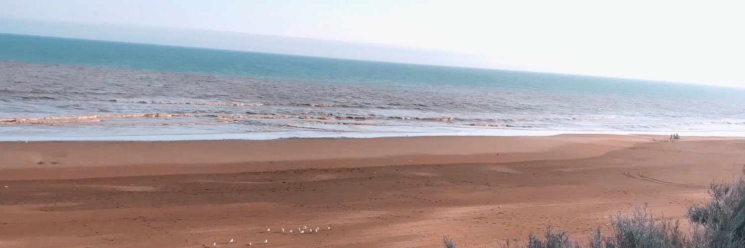 sofiacebedo's profile banner image