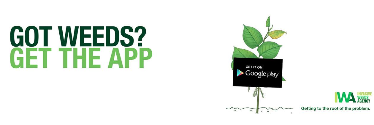 weed_removal's profile banner image
