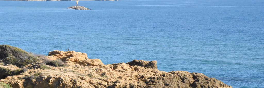 Iconoclastacy's profile banner image