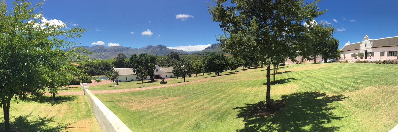 Alice Piterova banner