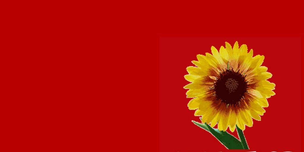 1001RTLSP's profile banner image